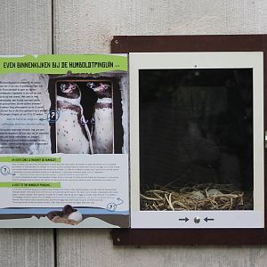 View in Penguin-nest