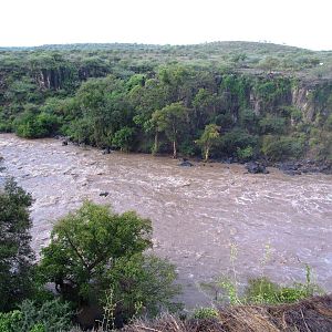Awash River - Awash NP, 12/10/14