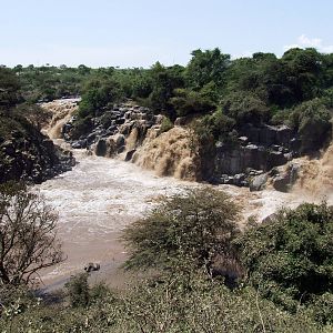 Awash Falls - Awash NP, 12/10/14