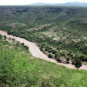 Awash Valley - Awash NP, 12/10/14