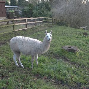 Alana and a bit of a view across the zoo, 6th December 2014