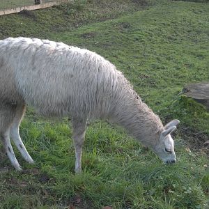 Alana, 6th December 2014