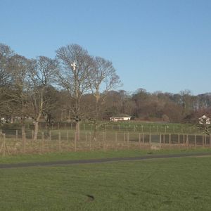 View of clifftop paddocks from Sewerby steps, 7th December 2014