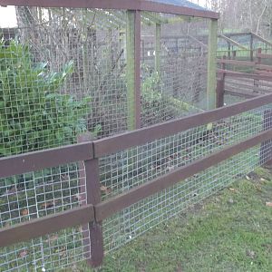 Mesh added to fencing around capuchin exhibit, 7th December 2014