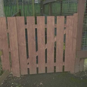 New gate at side of Raccoon Dog exhibit, 12th December 2014