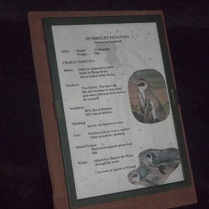 Signage damaged by Sheldon replaced, 13th December 2014