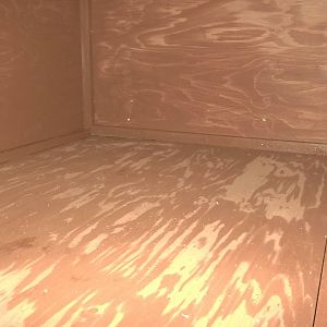 New shelter for aviary at bottom of zoo, 13th December 2014