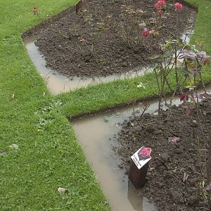 Evidence of soggy weather, 16th October 2014