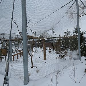 Steller's Sea Eagle exhibit
