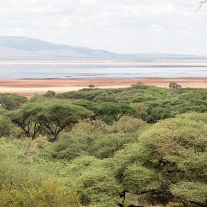 View of Lake Manyara