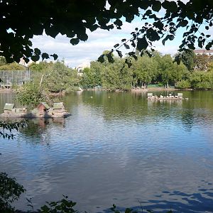 Old Territory large pond