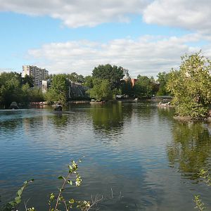 Old Territory large pond
