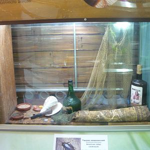 American cockroaches exhibit