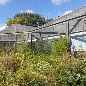 Walk-through aviaries