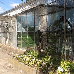 Saki and Squirrel monkey outdoor enclosures