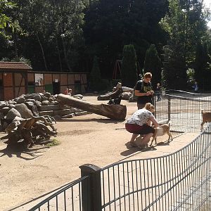Children Zoo