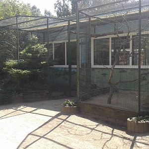 Aviaries
