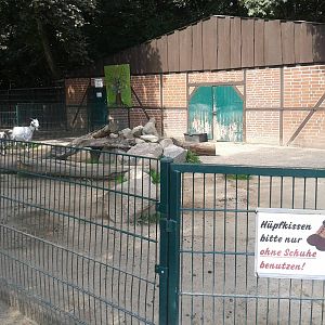 Goat enclosure
