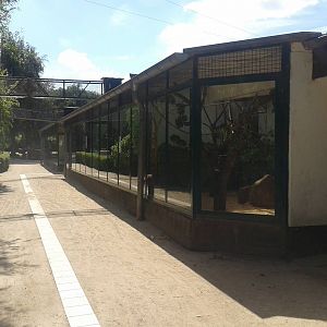 Monkey house outdoor enclosures