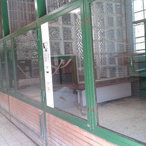 Monkey house indoor enclosures