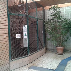 Prevost squirrel cage