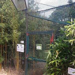 Entrance Lemur walk-through