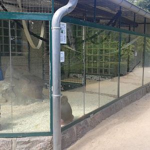 Monkey house outdoor enclosures