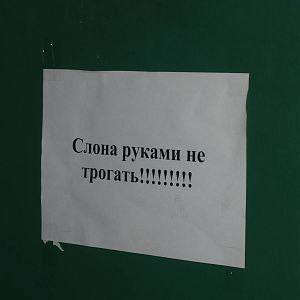 Don't touch the elephant!