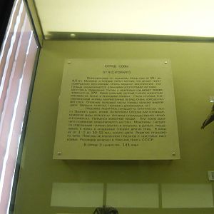 Strigiformes exhibit info board