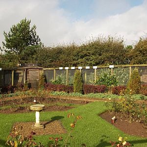 Mister Blue Sky puts in an appearance, 16th October 2014