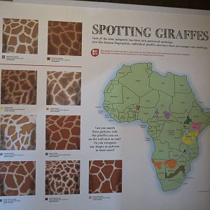 Giraffe House