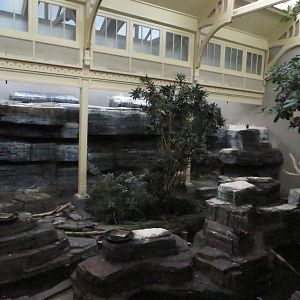 Bird house - coastal aviary