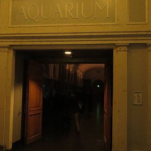 Aquarium - entrance