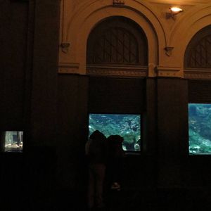 Aquarium