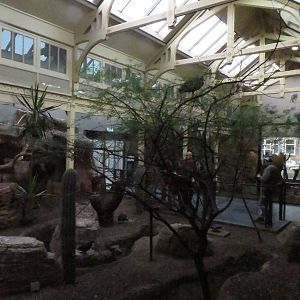 Bird house - desert part