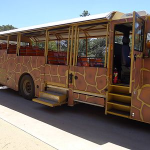 Safari bus