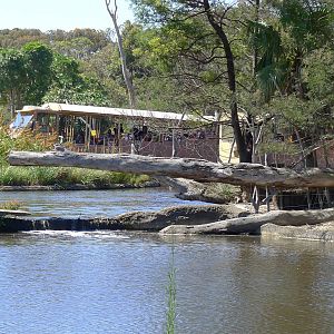 Safari Bus going thru the hippo enclosure