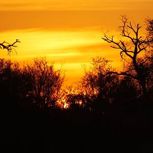 African Sunset