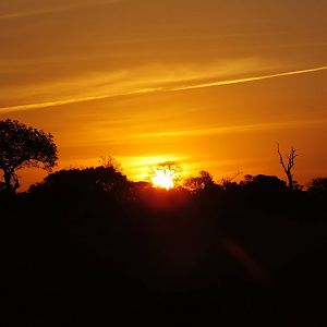 African Sunset
