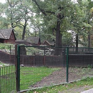 Mountain Ungulates enclosures