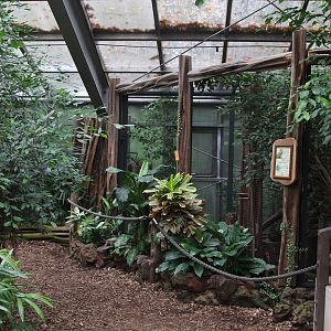 Inside pavilion Amazonas-Haus