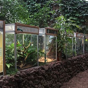 Inside pavilion Amazonas-Haus