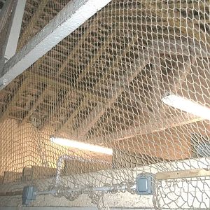 New anti-pigeon netting above storage area, 19th December 2014