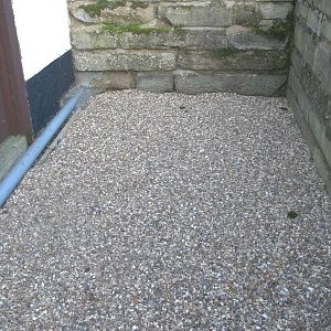 Where the Himalayan Black Bear snuffled, 20th December 2014