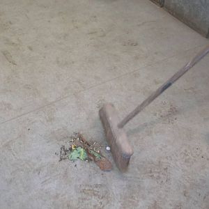 Usurped by Keeper Ed, 20th December 2014