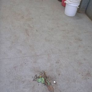 Usurped by Keeper Ed, 20th December 2014