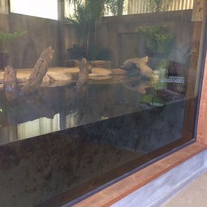 Phillipine croc exhibit