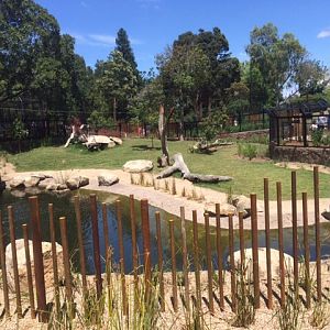 Hunting. Dog exhibit