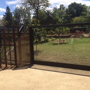 First viewing window of lion gorge, hunting dog exhibit.