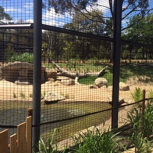 Lion watering hole Lion Gorge